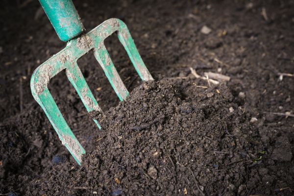 Topsoil Spreading