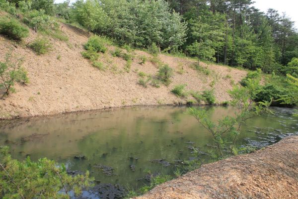 Pond Erosion Repair in Moorhead