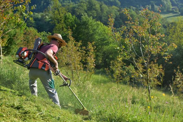 Cost of Slope Trimming in Moorhead