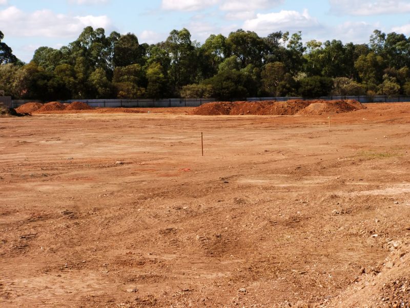 Site Clearing and Preparation
